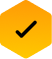 check-icon-yellow